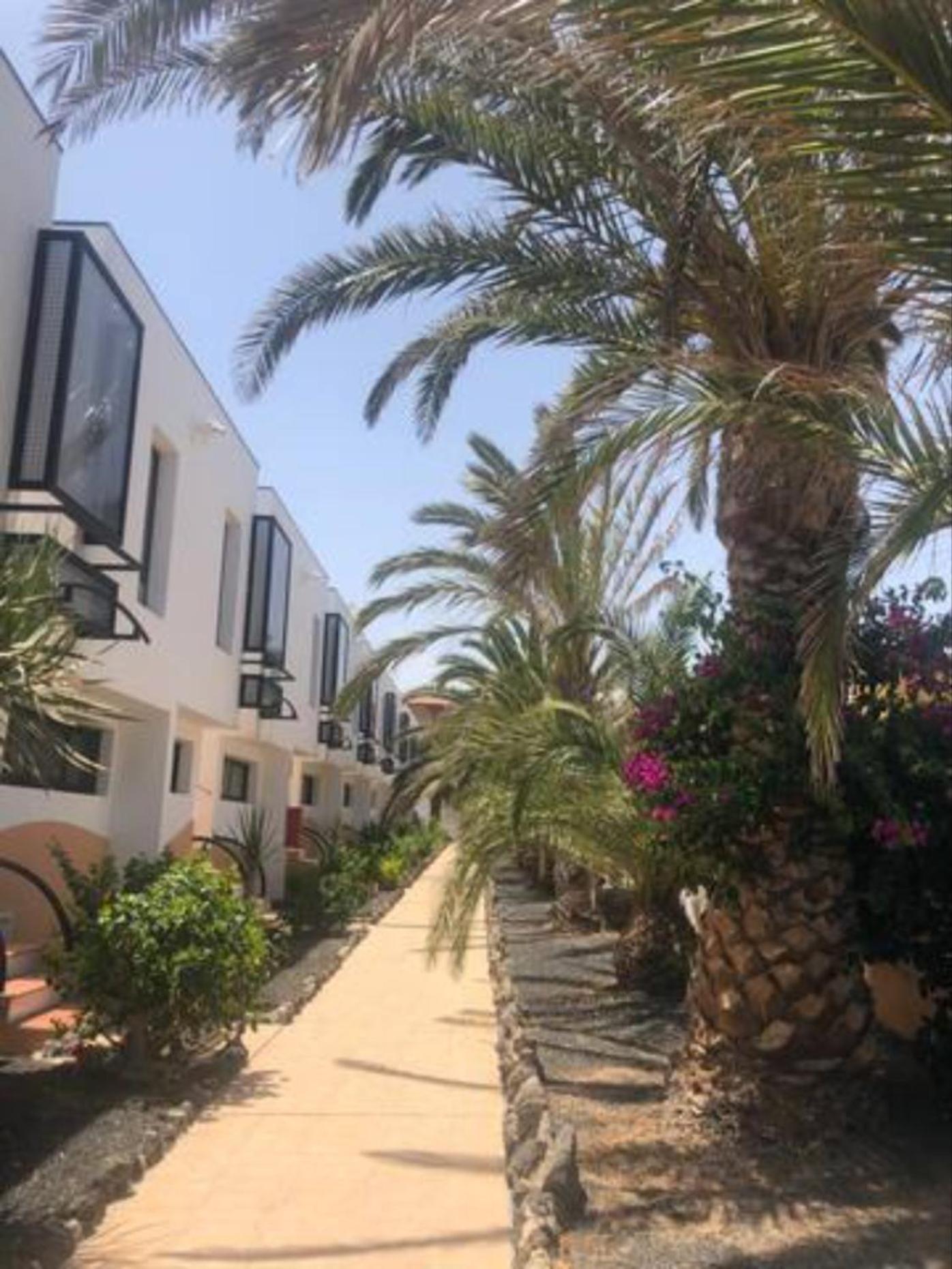 Apartamento Happyness Complex Amaya Fuerteventura Коста де Антигуа Екстериор снимка